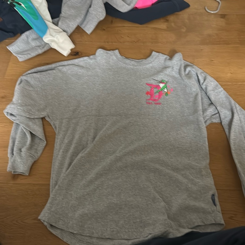 Disney animal spirit jersey, size xs, grey